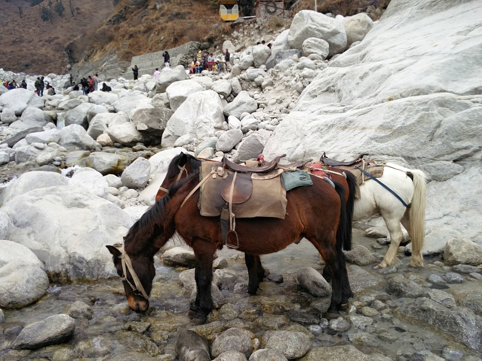 Anjani Mahadev Manali